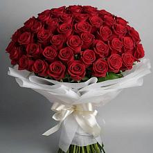 Букет 101 Красная роза Блэк Мэджик в Покрове