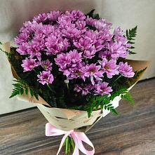 Букет цветов из:  Хризантемы #REPLACE_PRED# Покрове