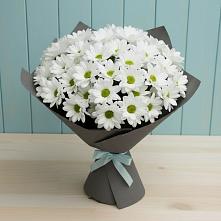 Букет цветов из:  Хризантемы #REPLACE_PRED# Покрове