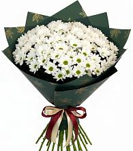 Букет цветов из:  Хризантемы #REPLACE_PRED# Покрове