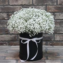 Цветочная композиция из Гипсофила в шляпной коробке #REPLACE_PRED# Покрове