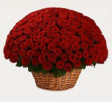 Премиум букет из: Розы в Покрове